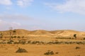Negev Desert in Israel. Royalty Free Stock Photo