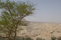 Negev Desert, Israel Royalty Free Stock Photo