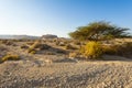 Negev Desert in Israel