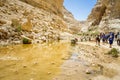 The Nahal Zin, Ein Akev in Negev Desert, Israel