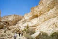 The Nahal Zin in Negev Desert, Israel