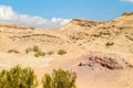 The Negev Desert