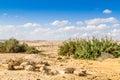 The Negev Desert