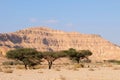 Negev desert wadi landscape. Royalty Free Stock Photo