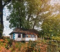 Neglected abandoned house with an old fence among grass and trees. Rural landscape