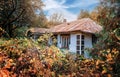 Neglected abandoned house of retro style among grass and trees. Rural landscape