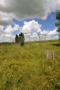 Neglected baseball field Royalty Free Stock Photo