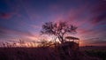 Neglected farm tractor at sunrise.