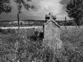 forgotten gravestones