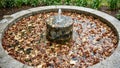 Neglected garden fountain clogged with fallen leaves water flow blocked by dense layer on surface Royalty Free Stock Photo