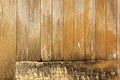 Neglected Weathered Damaged Wood Door Panal Patterns and Textur