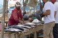 Bargaining and sell fish at Negombo fish market.