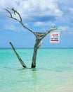 Negril Beach Royalty Free Stock Photo