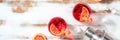 Negroni cocktails panorama with blood oranges and a place for text or logo Royalty Free Stock Photo