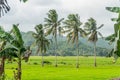 Negros Oriental, Sipalay, The Philippines