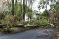 Neighborhood destroyed by Hurricane Super Storm Sandy