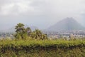 In neighborhood of extinct volcano of Trou aux Cerfs. Curepipe, Mauritius Royalty Free Stock Photo