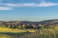 Neighborhood homes around a sunlit golf course with distant mountain background Royalty Free Stock Photo