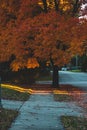 Neighborhood sidewalk in autumn Kansas City