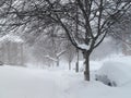 Neighborhood Sidewalk During the Blizzard