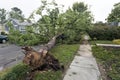 Neighborhood storm damage Royalty Free Stock Photo