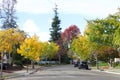 Neighborhood street lined with trees in autumn colors Royalty Free Stock Photo