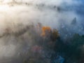 Neighborhood streets and homes covered in fog.