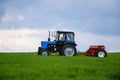 Driver wheeled tractor fertilizing winter wheat with mineral fertilizers. Feeding of grain crops