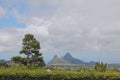 In neighborhood of Trou aux Cerfs. Curepipe, Mauritius Royalty Free Stock Photo