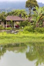 Neighborhood of the Ulun Danu Temple complex