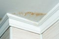 Neighbors have a water leak  water-damaged ceiling  close-up of a stain on the ceiling Royalty Free Stock Photo