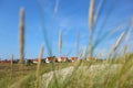 Neighbourhood of houses through the grass Royalty Free Stock Photo