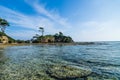 Neills Island Corals