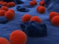 Neisseria gonorrhoeae Royalty Free Stock Photo
