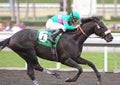 Neko Bay Wins The San Pasqual Handicap Royalty Free Stock Photo