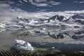Neko Harbour, glaciers and mountains, Antarctic Peninsula Royalty Free Stock Photo