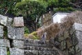 Neko-no-Hosomichi Cat Alley in Onomichi City. Hiroshima Prefecture, Japan Royalty Free Stock Photo