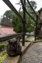 Neko-no-Hosomichi Cat Alley in Onomichi City. Hiroshima Prefecture, Japan Royalty Free Stock Photo