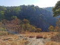 Colorful view of the Nelliampathi forest in summer