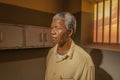 Nelson Mandela Royalty Free Stock Photo