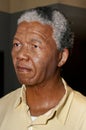 Nelson Mandela Wax Figure