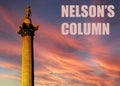 Nelson\'s Column - iconic London landmark situated in Trafalgar square