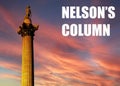 Nelson\'s Column - iconic London landmark situated in Trafalgar square