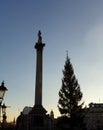 Nelson's Column National Monument in Trafalgar Square in London, United Kingdom Royalty Free Stock Photo