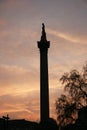 Nelson's Column in Trafalgar Square Royalty Free Stock Photo