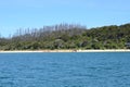 People and kayaks at Anchorage Beach in Abel Tasman National Park