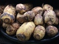 Nelumbo Nucifera, Lotus Plant Roots on Sale on Kauai Island, Hawaii. Royalty Free Stock Photo