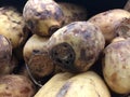 Nelumbo Nucifera, Lotus Plant Roots on Sale on Kauai Island, Hawaii.