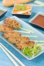 Nem Nuong Xa - Vietnamese minced pork sausages