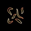 Nematodes or Ascarids vector concept line yellow icon or sign